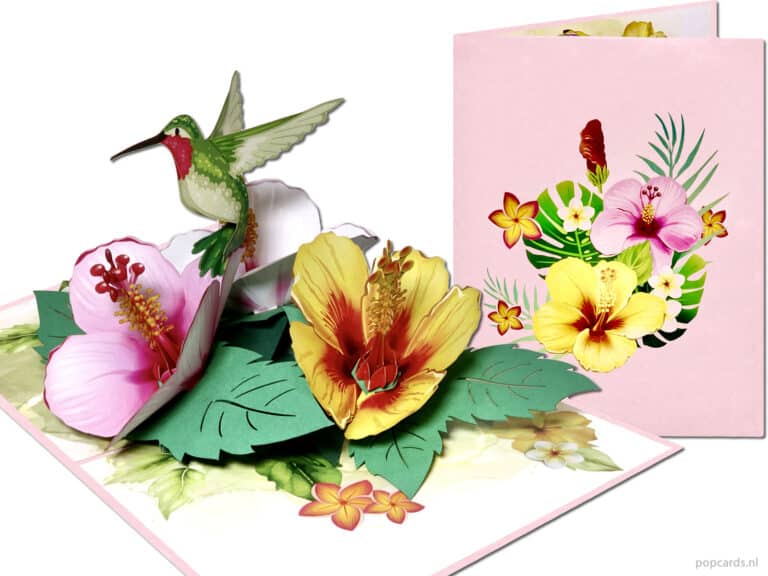 kolibri-2-roze-bloem-compilatie